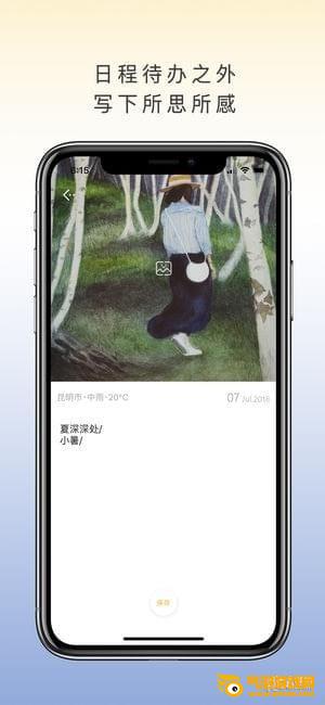 两个西柚