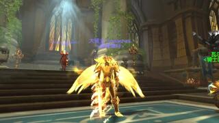 《魔兽世界(WOW)》论惩戒骑的自我修养，圣光大剑(视频)