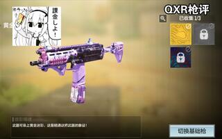 QRX配件与枪的优缺点评测[2020评测][视频]