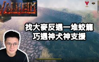 《瓦尔海姆》【瓦爾海姆｜Valheim】找大麥種田反遇一堆蛟龍，巧遇百萬傷害神犬神支援！#11(视频)
