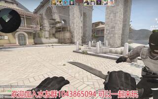 《CS:GO》CSGO新bug枪的神秘消失之术(视频)
