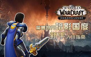 《魔兽世界(WOW)》2021年了，该如何入坑？【WOW新手入坑指南-正式服向】(视频)