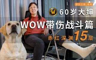 《魔兽世界(WOW)》60岁大婶 之带伤战斗篇 赤红深渊 15层_(视频)
