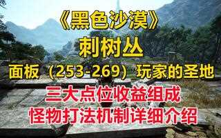 《黑色沙漠》《黑色沙漠》刺树丛！攻略介绍中等面板玩家的圣地！金币材料经验全都有~_攻略(视频)