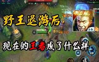 《LOL手游》lol手游：野王都去打联盟了，如今的王者，还有人玩吗？英雄联盟手游(视频)