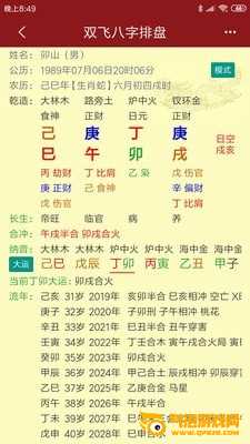 双飞八字排盘