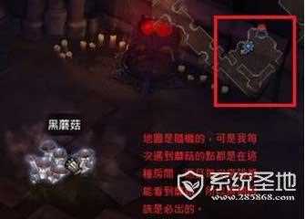 暗黑3黑蘑菇在哪怎么得 暗黑3黑蘑菇作用及获取方法-暗黑3黑蘑菇位置