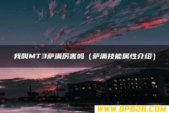 萨满技能属性介绍 我叫MT3萨满厉害吗