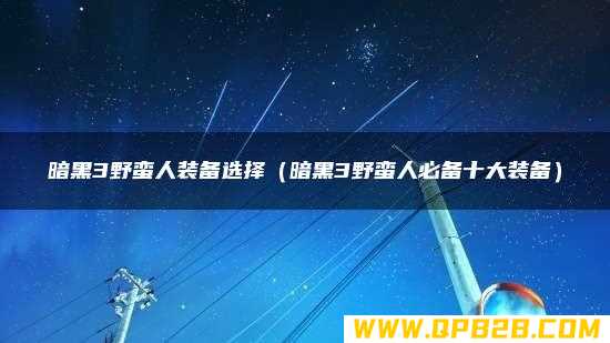 暗黑3野蛮人必备十大装备 暗黑3野蛮人装备选择