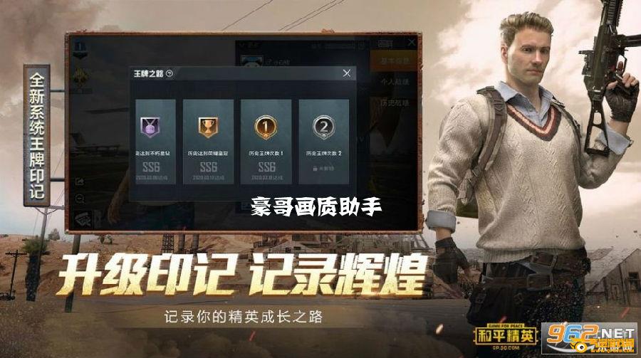 豪哥画质助手