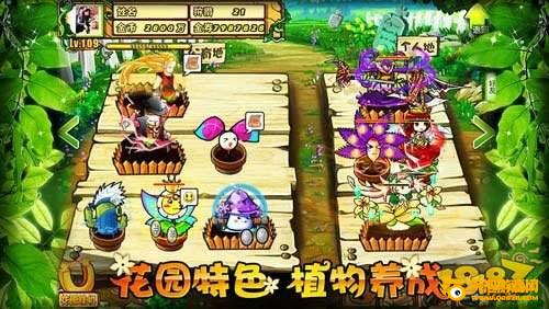 植物大战僵尸online