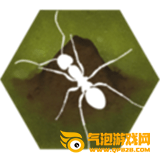 最后的蚂蚁