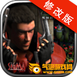 孤胆枪手中文破解版