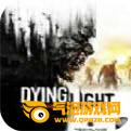 dyinglight中文版