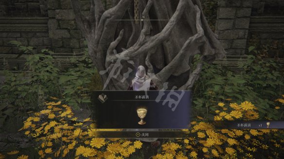 《艾尔登法环》圣杯滴露怎样获得_圣杯滴露在哪里获得