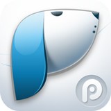 PP浏览器