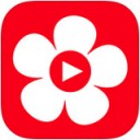 布米米影视app