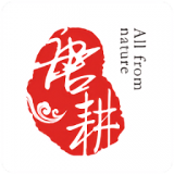 唐耕商城