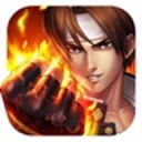 拳魂觉醒iOS版