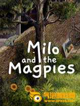 Milo and the Magpies