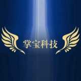 掌宝科技