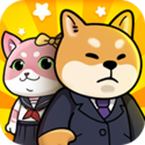 猫宅97app下载_猫宅97安卓手机版下载