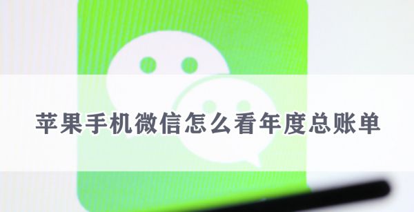 苹果手机微信怎么看年度总账单