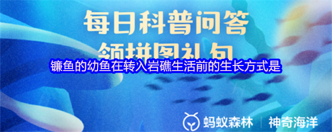 《支付宝》镰鱼幼鱼在岩礁生活前的生长模式揭秘