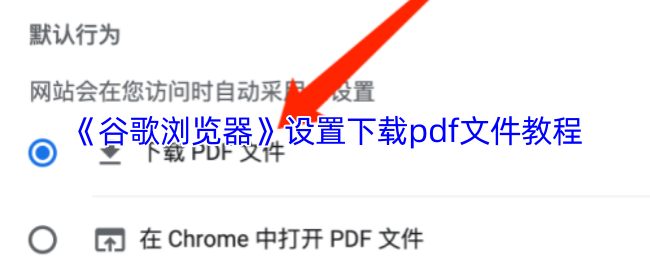 《谷歌浏览器》下载PD文件的详细设置指南