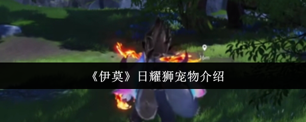 《伊莫》新光辉狮宠物全方位解析