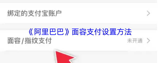 《阿里巴巴》面容支付的配置步骤详解