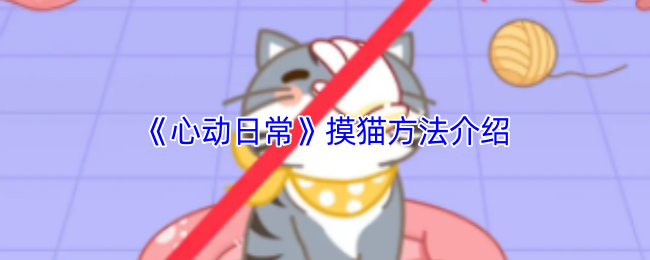 《心动日常》猫咪亲密接触技巧分享